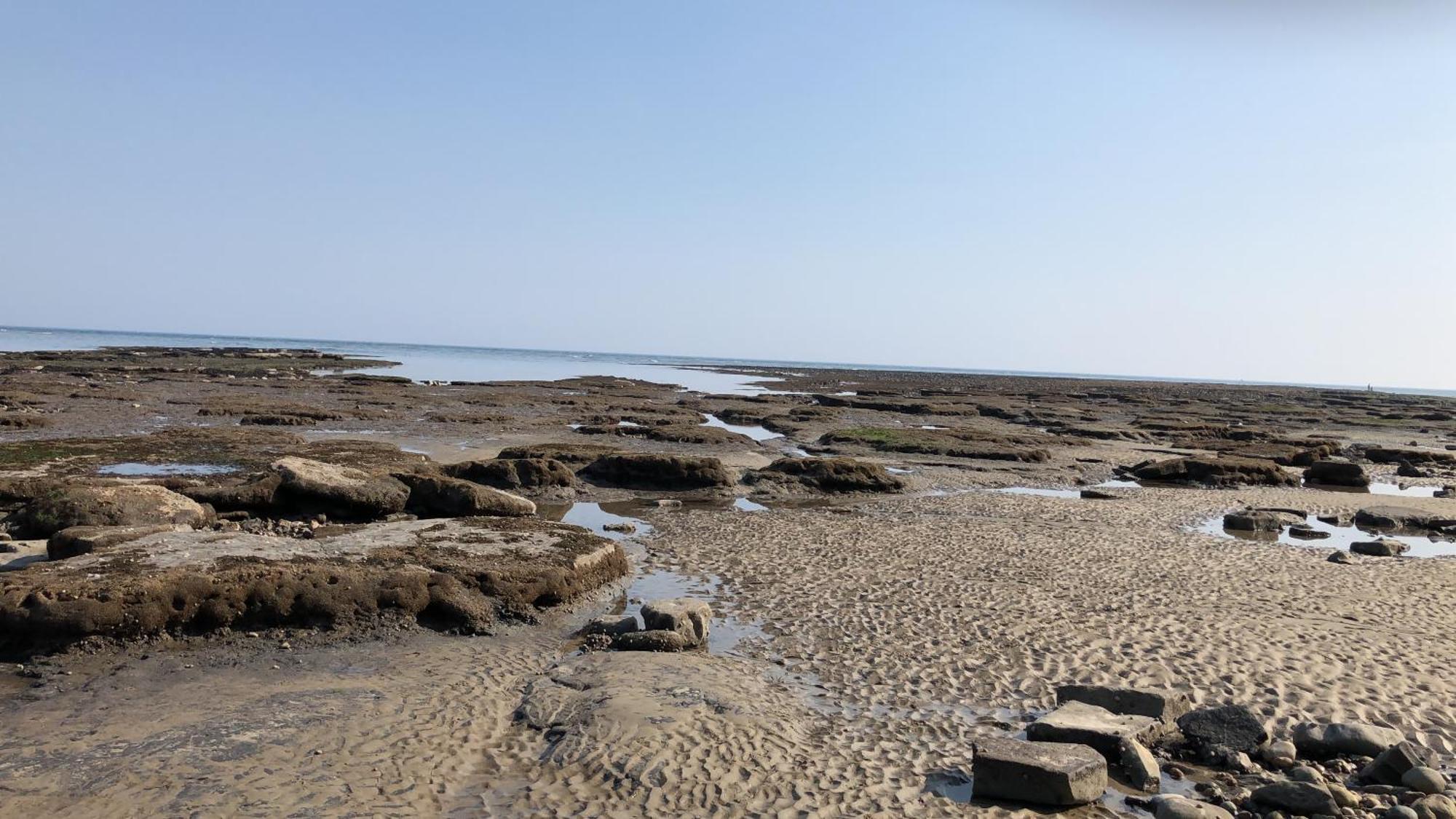 莱姆里吉斯Billie'S Seaside Retreat别墅 外观 照片